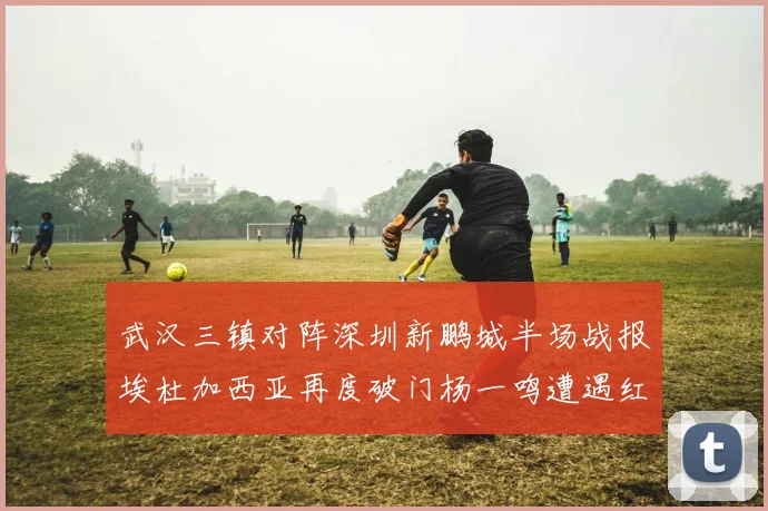 武汉三镇对阵深圳新鹏城半场战报埃杜加西亚再度破门杨一鸣遭遇红牌处罚
