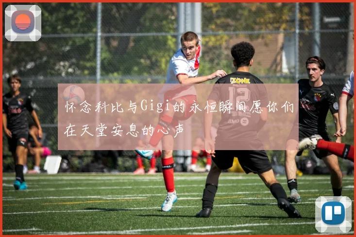 怀念科比与Gigi的永恒瞬间愿你们在天堂安息的心声