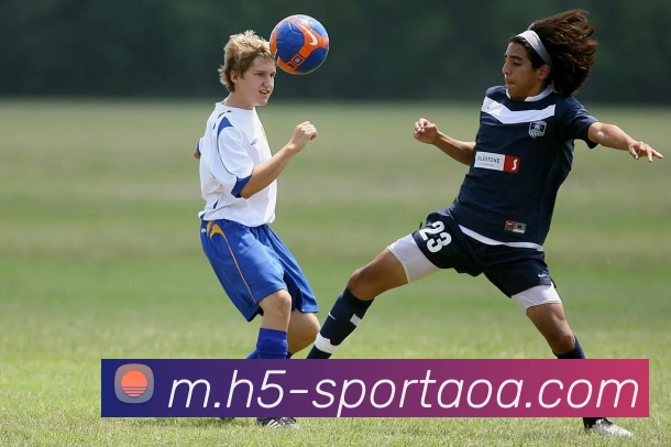 App Interface Preview